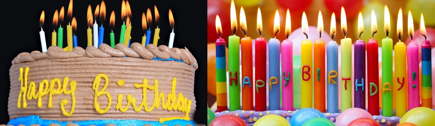 Bolu Muzlu Baton yaş pasta doğum günü pastası siparişi